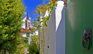 travel-websites